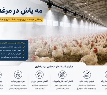 مه پاش در مرغداری
