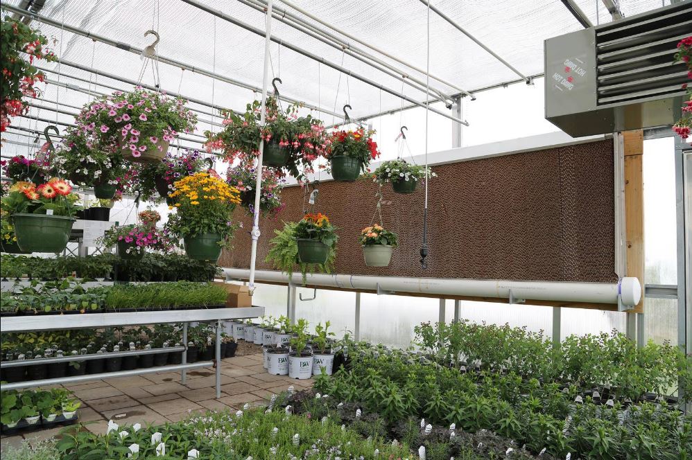 evap-wall پد سلولزی گلخانه