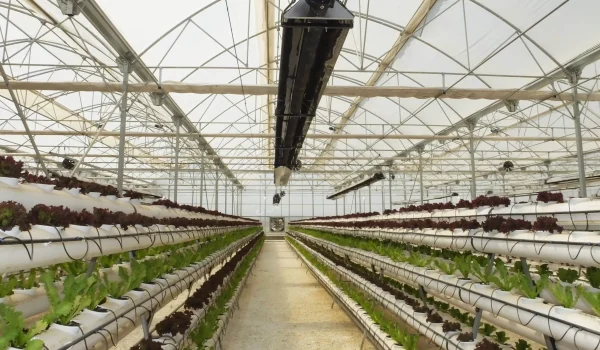 گلخانه کوثر-min گلخانه کوثر-min