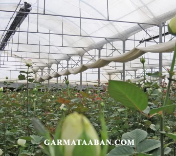 بخاری تابشی گلخانه برند گرماتاب