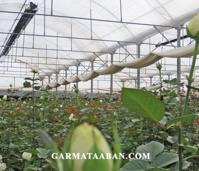 GARMATAAB GOLKHANEH- ARAK (1) بخاری تابشی گلخانه برند گرماتاب