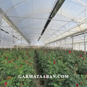 GOLKHANE ROZ- BANNER-min کاهش مصرف انرژی با گرماتاب گلخانه