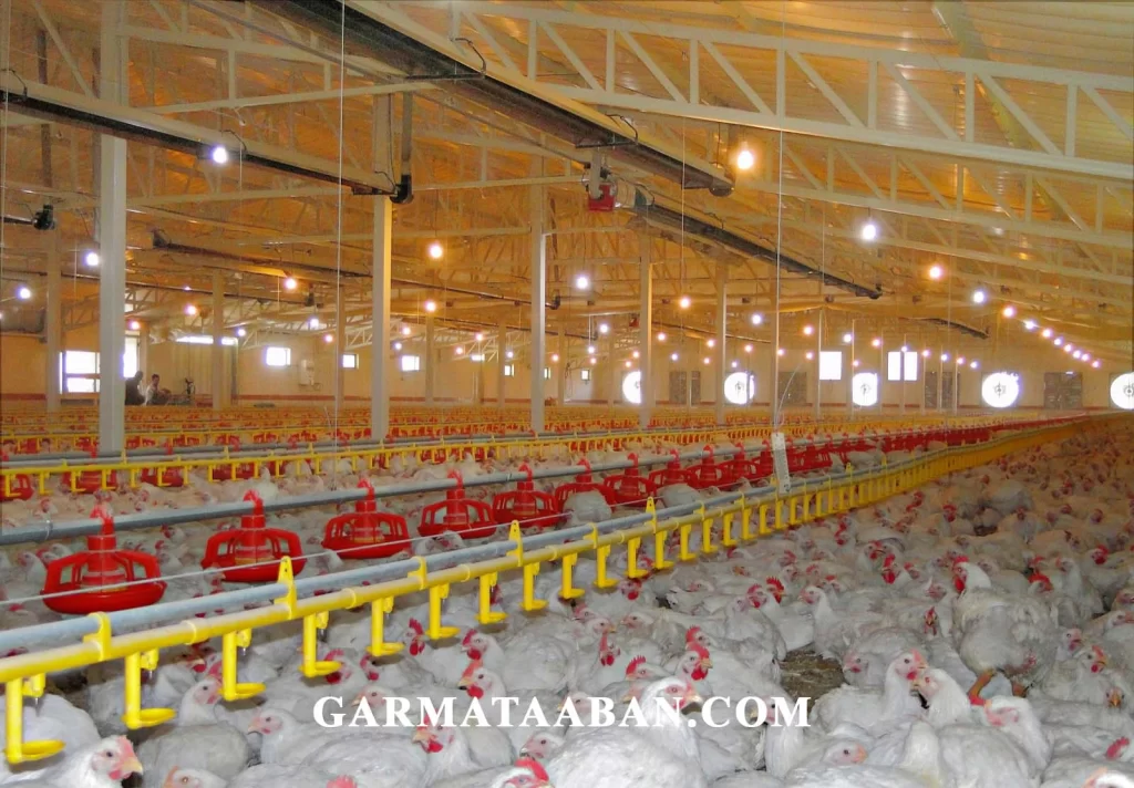 تآمین گرمایش گلخانه با گرماتاب گازی