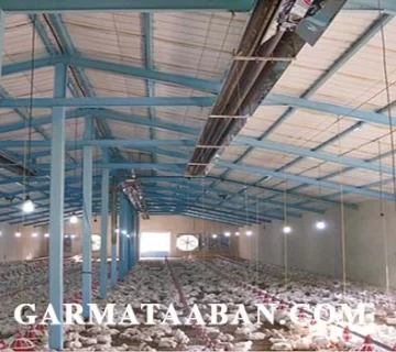 بهترین سیستم گرمایش مرغداری