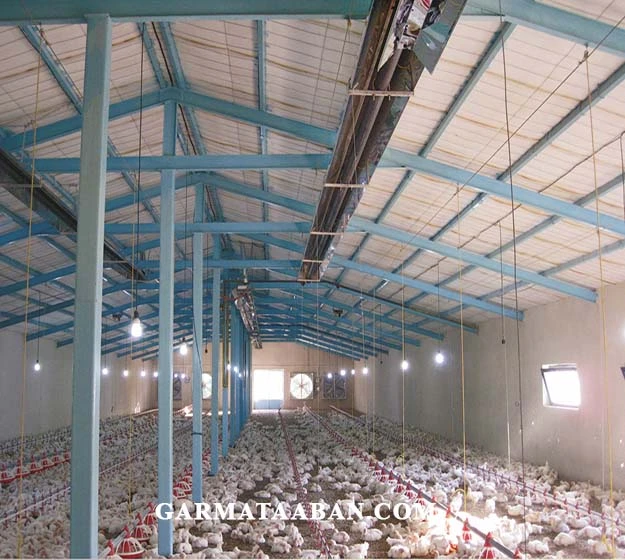 گرمایش مرغداری-min بخاری تابشی گازی مرغداری