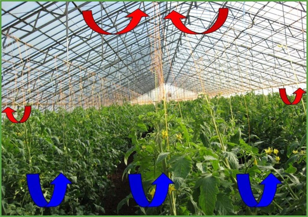 تلفات حرارتی ناشی از نفوذ هوا به داخل یا خارج گلخانه