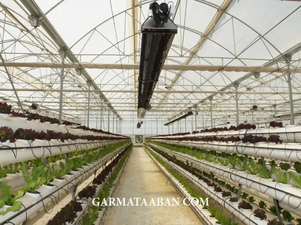 بهینه سازی مصرف سوخت گلخانه با بهترین سیستم گرمایشی گلخانه