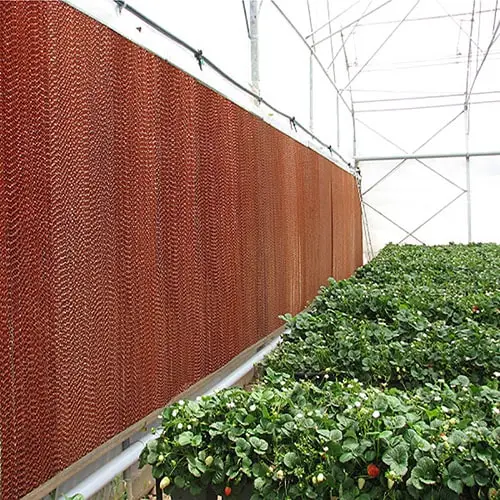 پد سلولزی گلخانه-min پد سلولزی گلخانه