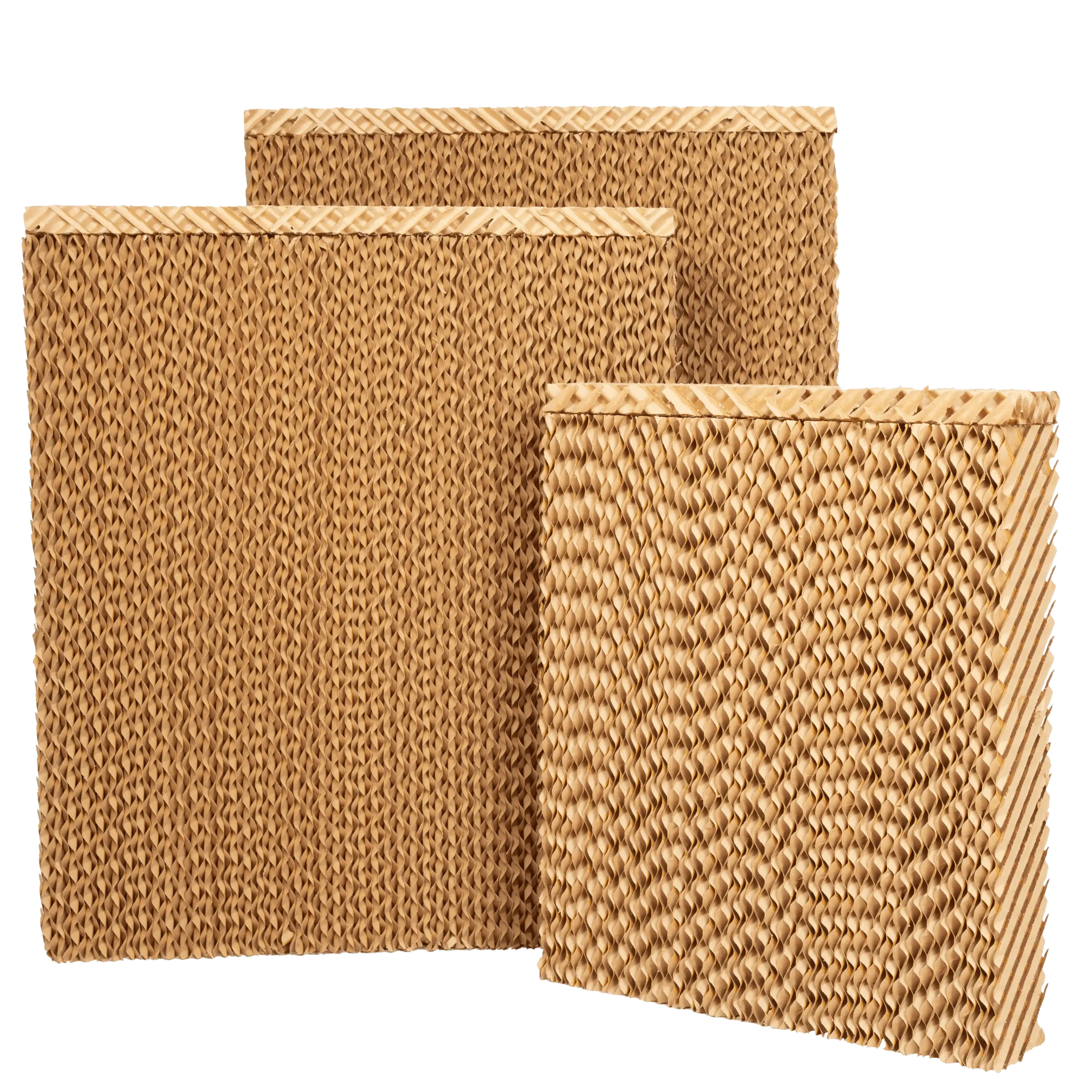 پدهای-5090-scaled پد سلولزی 5090