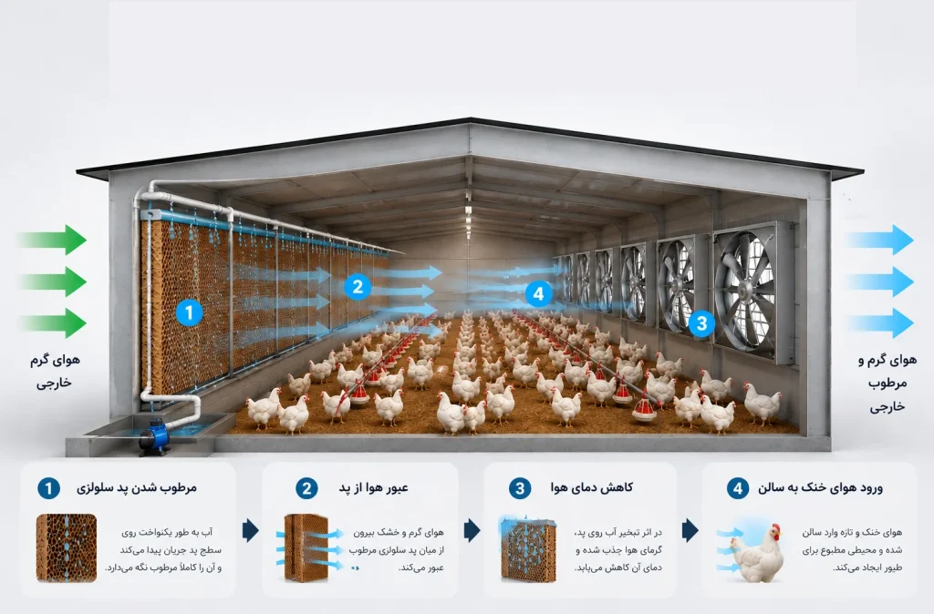 سیستم عملکرد فن و پدر در مرغداری.png عملکرد فن و پد سلولزی در مرغداری